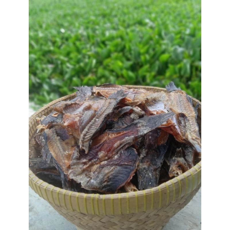 

Ikan asin betutu / bloso / Ikan gabus malas