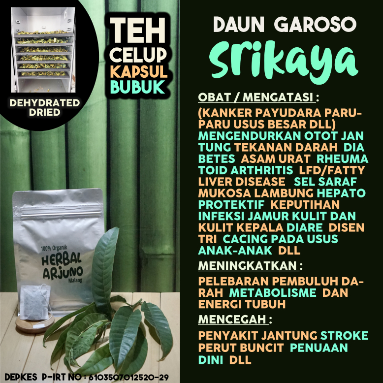 

Dehydrated Dried Teh Celup Kapsul & Bubuk Daun Srikaya Garoso Obat (Kanker Paru-Paru Payudara DLL) Keputihan Fatty Liver Saraf Diabetes Hipertensi Rheumatoid Arthritis Asam Urat Perut Buncit Dll Herbal Alami