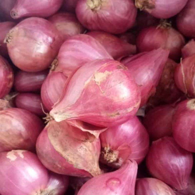 

Bawang Merah Probolinggo Super 1 Kg