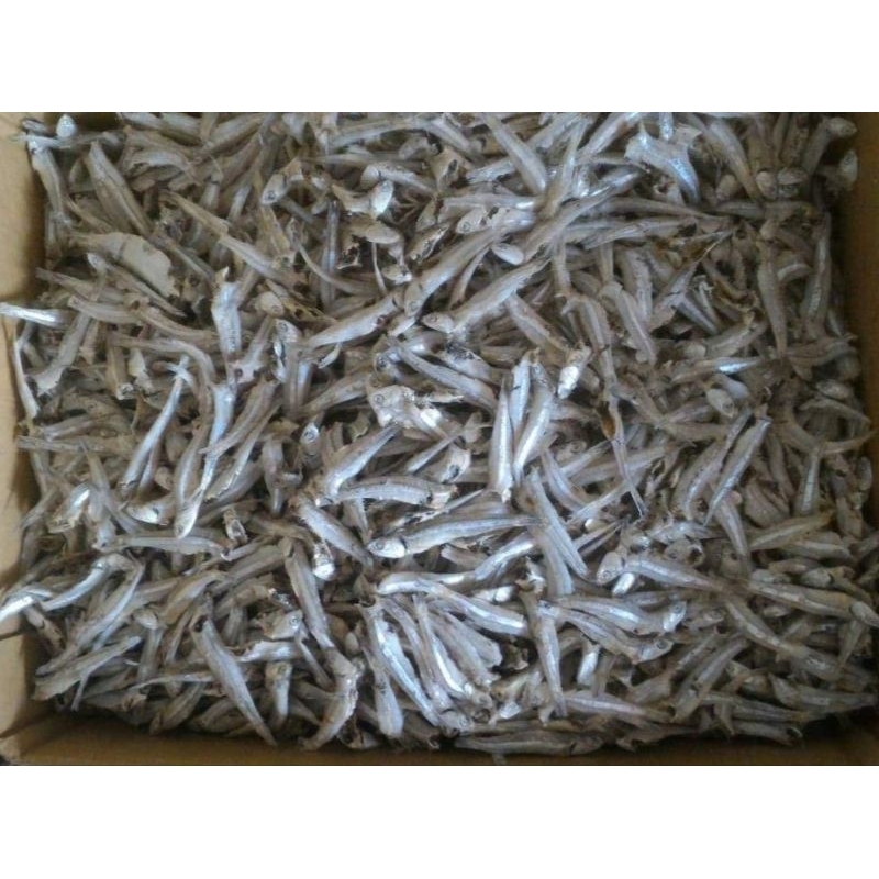 

ikan asin Teri jengki 500 gram / ikan asin termurah / ikan asin kering