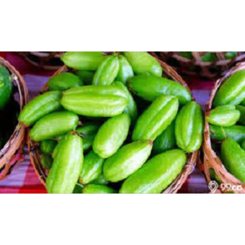 

Belimbing Wuluh Segar 250 Gram | Belimbing Asam | Fresh Starfruit