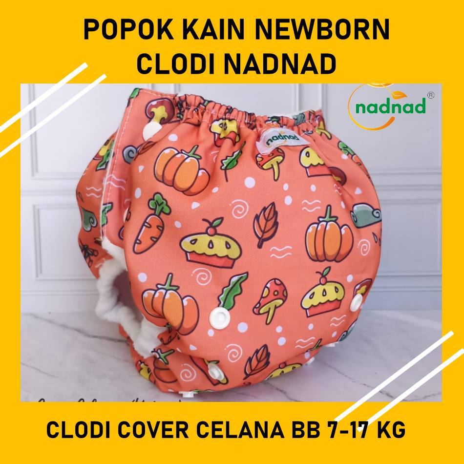 Clodi Nadnad SNI Popok Bayi Kain Cuci Ulang Premium Pempers Kain Cover Perekat Celana Waterproof Ant