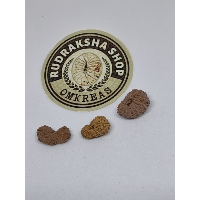 mukhi 18 medium quality b