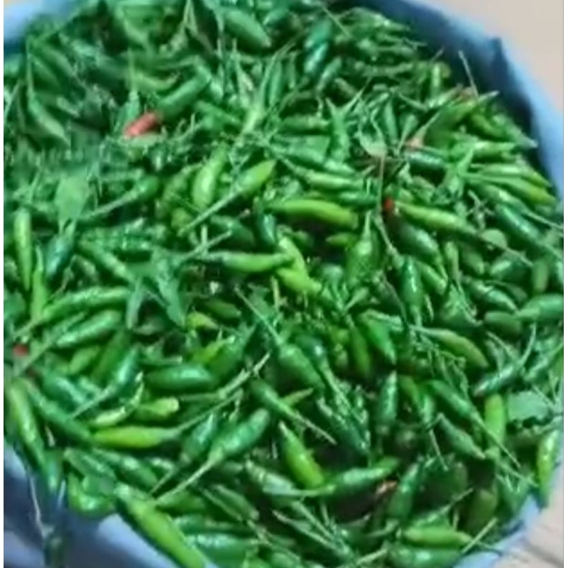 

cabe rawit hijau super. 20.000 500gram