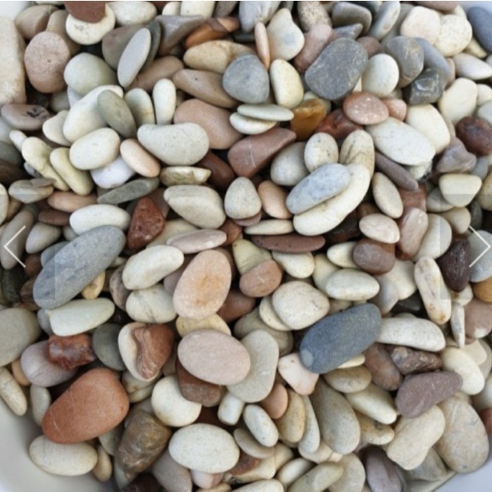 batu hias tanaman koral panca warna 500 gram