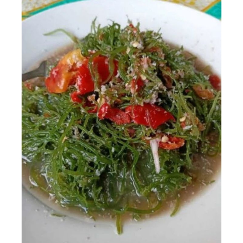 

Rumput Laut Fresh | Matang | 500 Gram | 1Kg