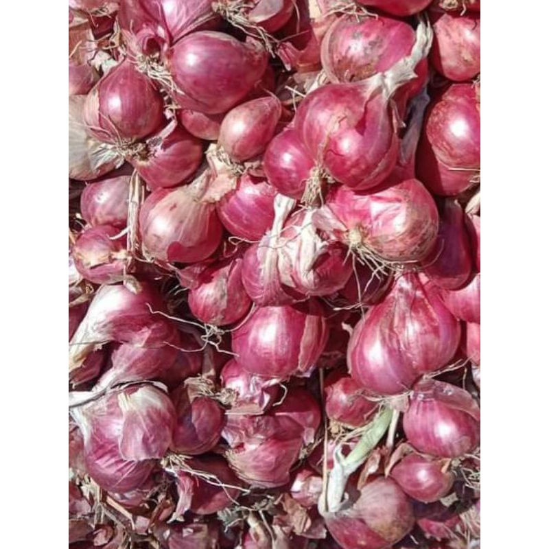 

BAWANG MERAH super AA 1kg asli probolinggo