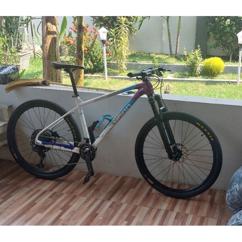 Polygon Xtrada 7 2022 upgrade