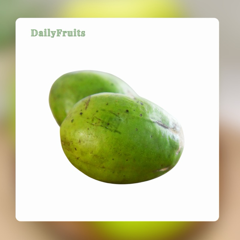 

Kedondong Fresh 1 Kg | DailyFruits
