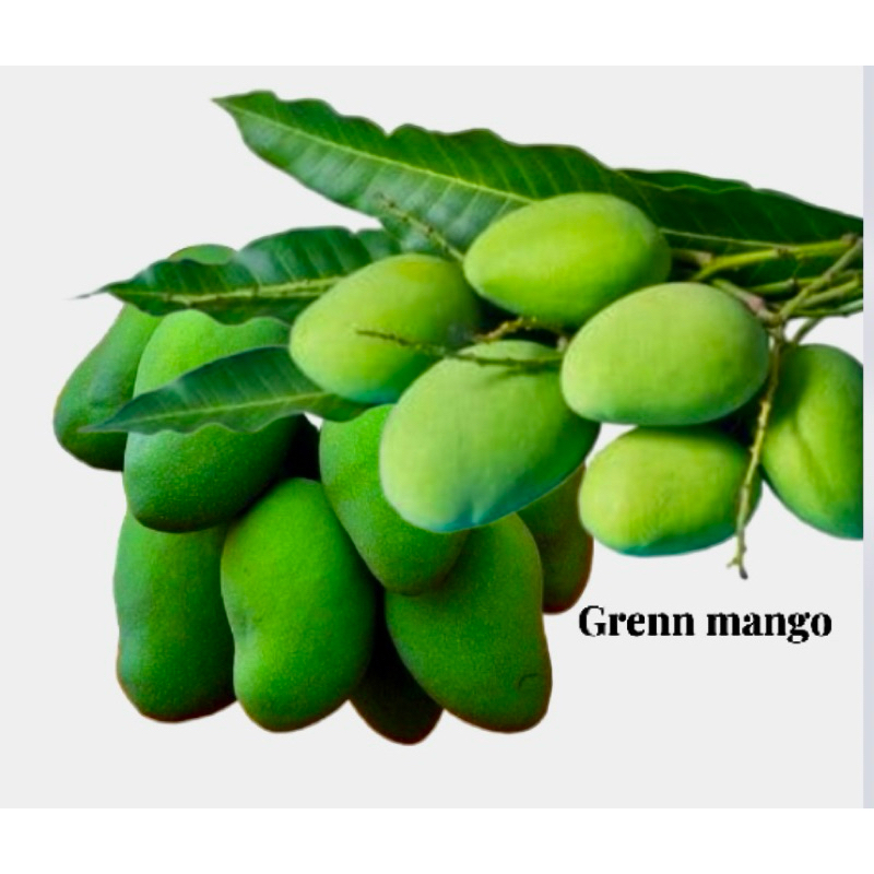 mangga muda rujak mentah/telor/manalagi/gadung 1kg KHUSUS AREA JAWA
