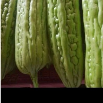 

Pare segar 250g dan 500g