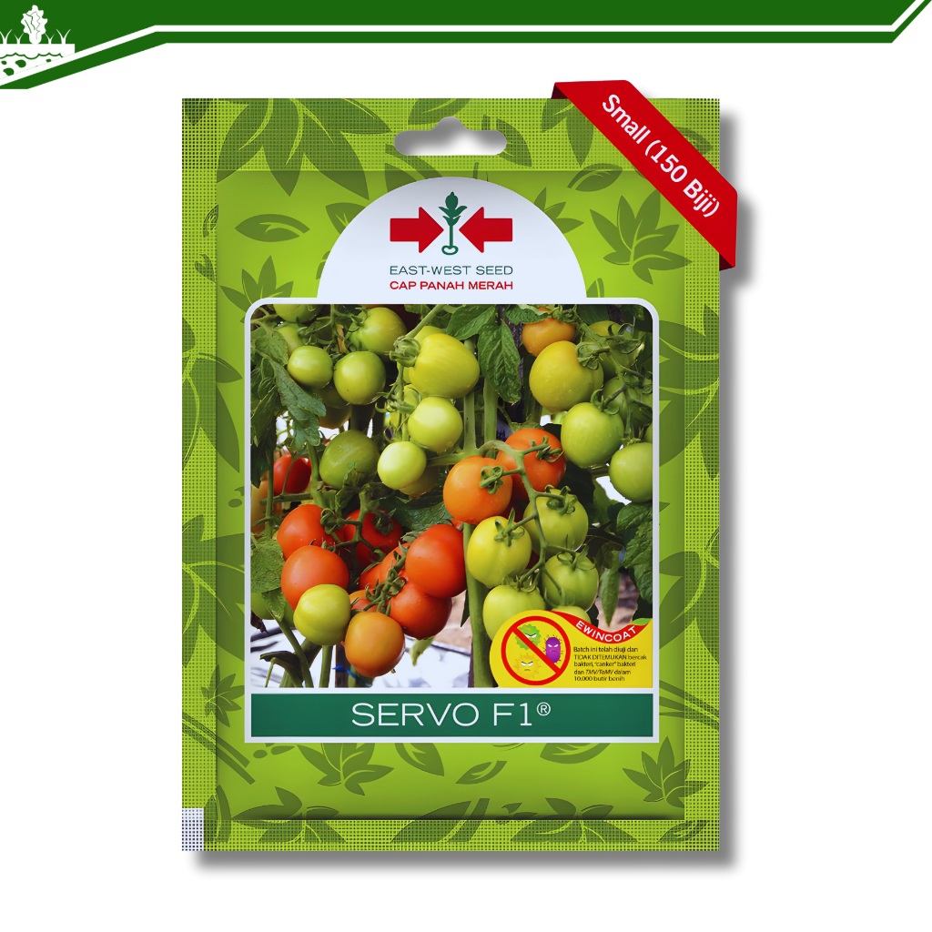benih tomat servo f1 hibrida 150 biji panah merah