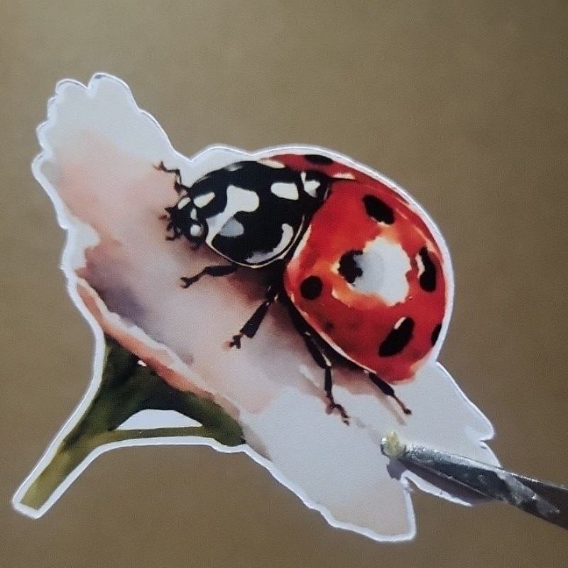 

Ladybugs stickers journaling scrapbooking