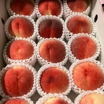

BUAH PEACH WHITE JEPANG ASLI ORIGINAL GIFT BOX -+5 KG