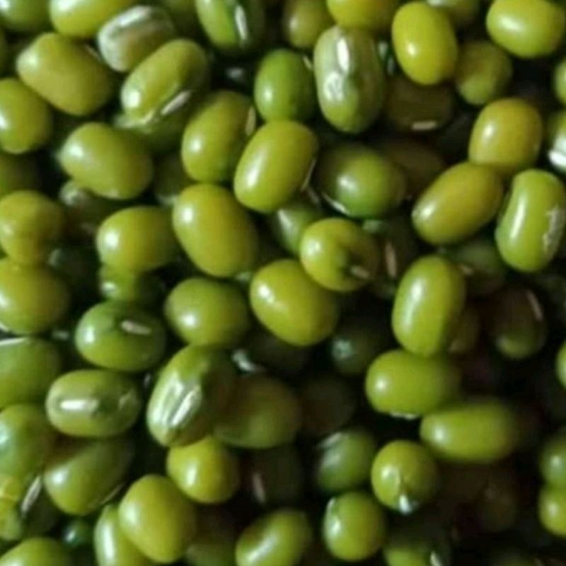 

500gr kacang hijau mung Beans kualitas super