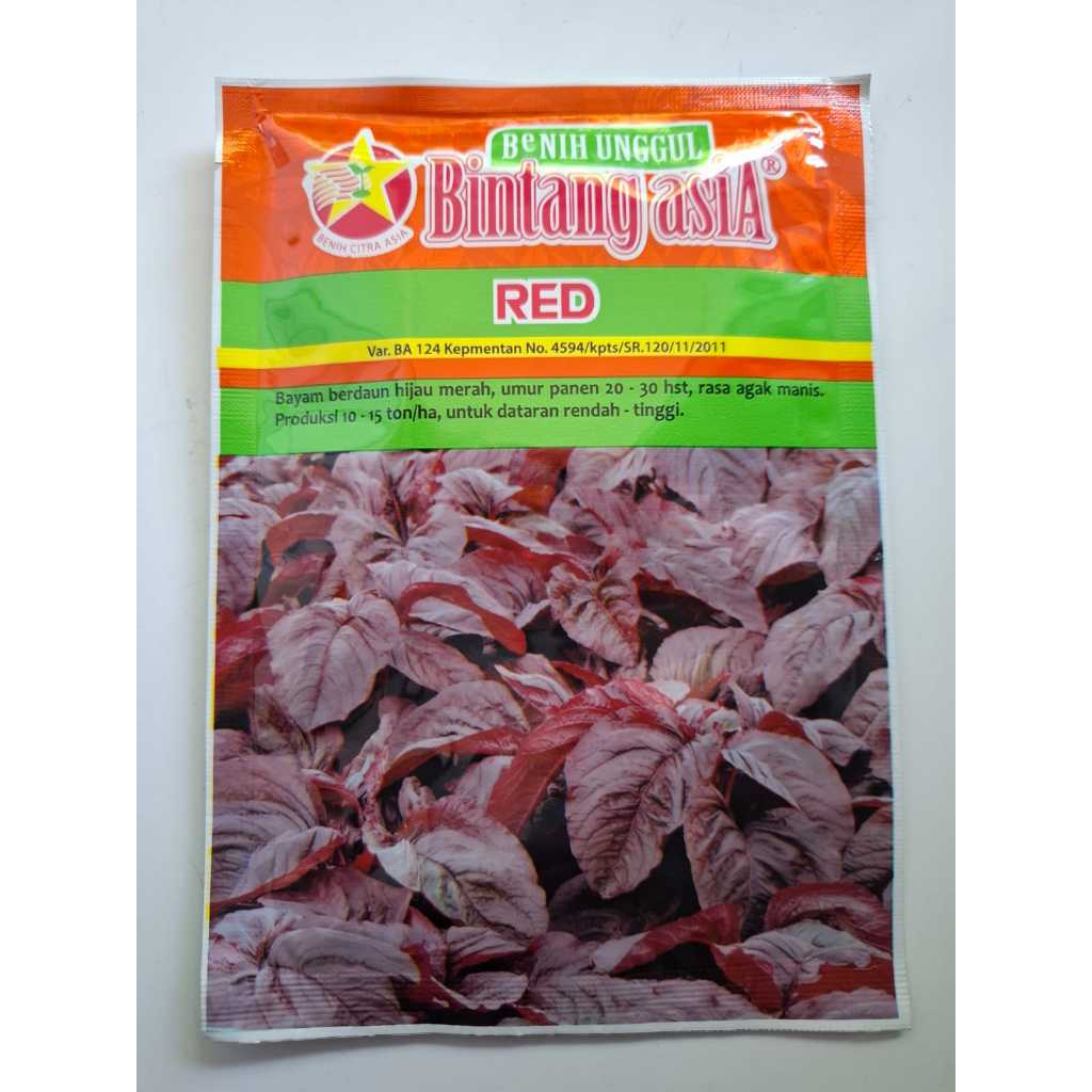 bintang asia - 50 gram benih bayam merah red