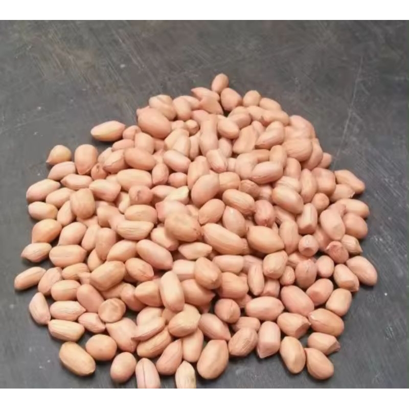 

kacang tanah mentah Asli Madura
