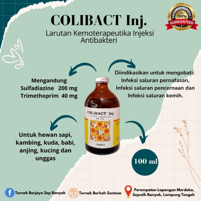COLIBACT INJEK 100ml antibiotik pada ternak(sapi,kambing,domba,anjiung,babi)