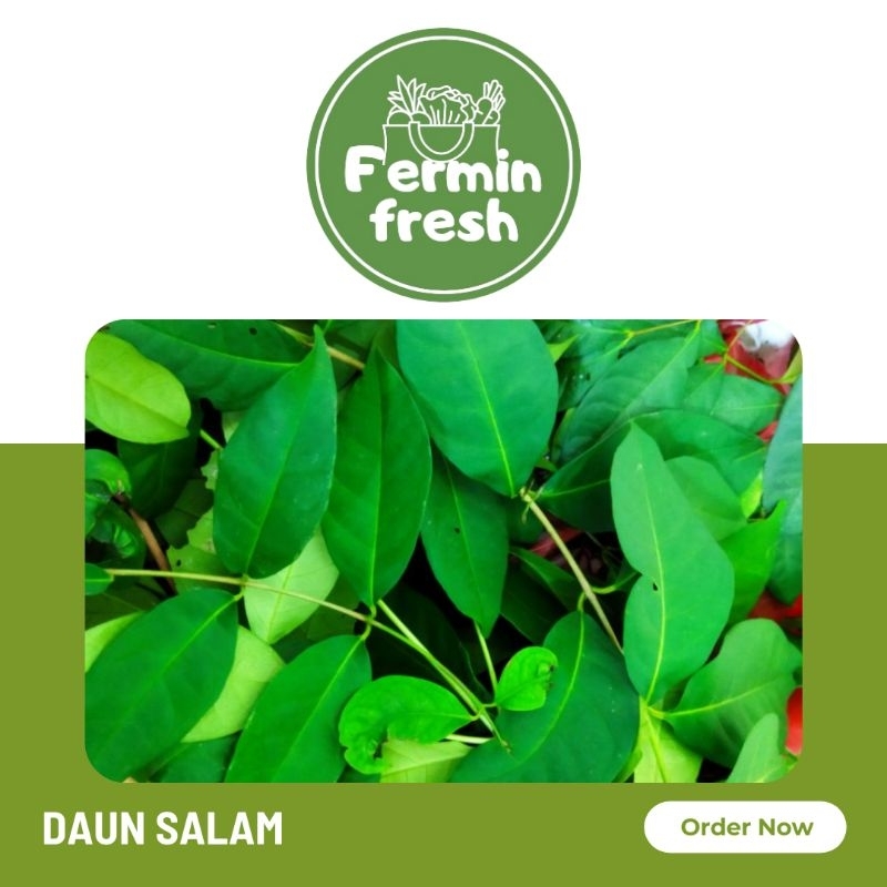 

Fermin Fresh, Daun salam 100gr