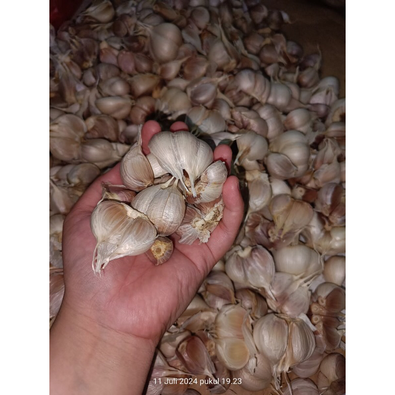 

BAWANG PUTIH CUTTING 1 KG MURAH MERIAH