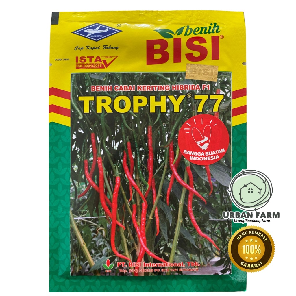 Benih Cabai Keriting F1 TROPHY 77 / 10 gr / Cabai keriting - Cap Kapal Terbang