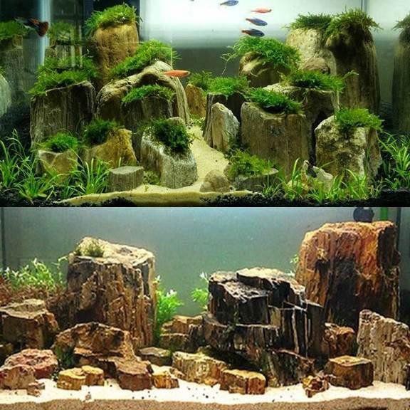 BATU FOSIL KAYU HIASAN AQUARIUM AQUASCAPE