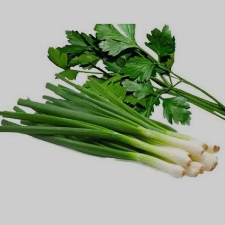 

Daun bawang dan seledri