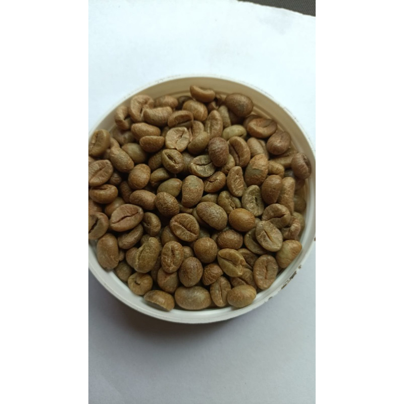 

GREEN BEAN Robusta Lampung G1 dan Asalan 1kg - Alphukat.uf