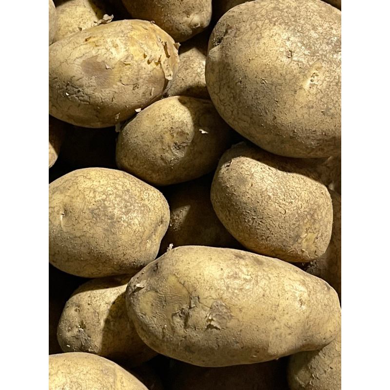 

Kentang Dieng (Kentang Kuning) Serba 5.000