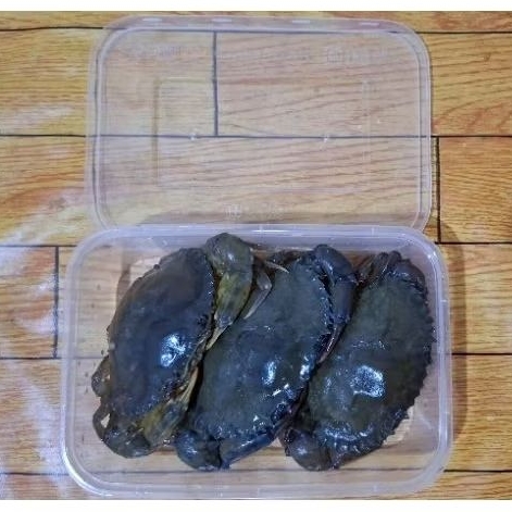 

KEPITING CANGKANG LUNAK BOX/ SOKA/ SOFT SHELL CRAB/ KEPITING SOKA FRESH FROZEN