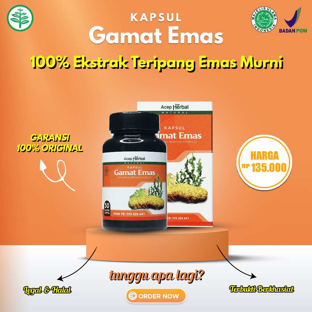 Kapsul Gamat Mas Asli - Kapsul Gamat Emas Original ( Produk Beragansi ) Herbal Multi Khasiat Terlari