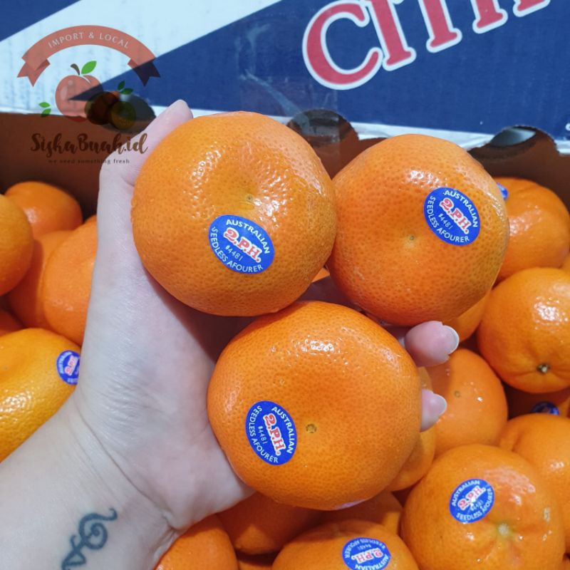 

JERUK AFOURER | JERUK SEEDLESS AUSTRALIA