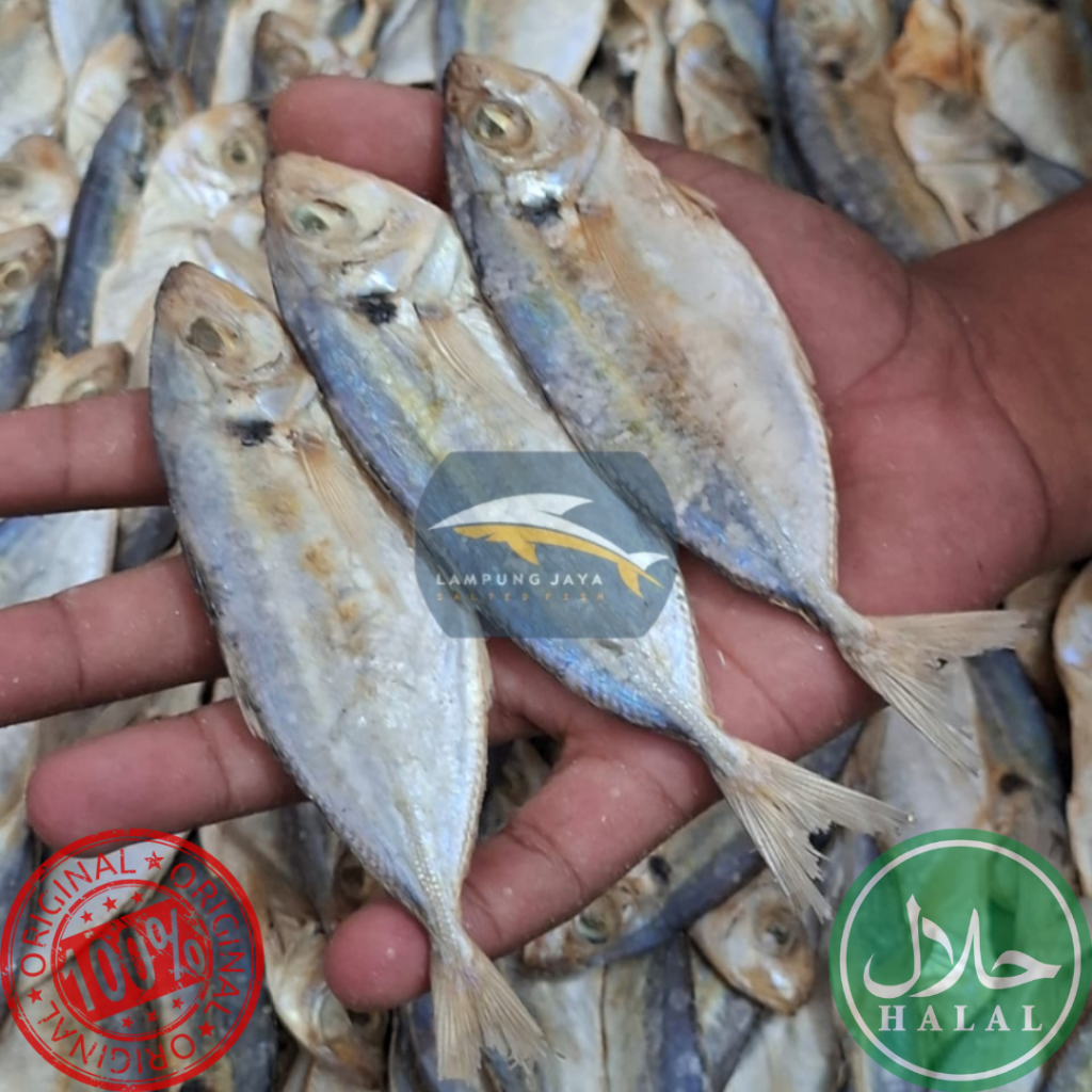 

{BISA COD} 250 GRAM IKAN ASIN SELAR BELITUNG BERKUALITAS - HARGA GUDANG TERMURAH, DISTRIBUTOR PERTAMA DARI PETANI