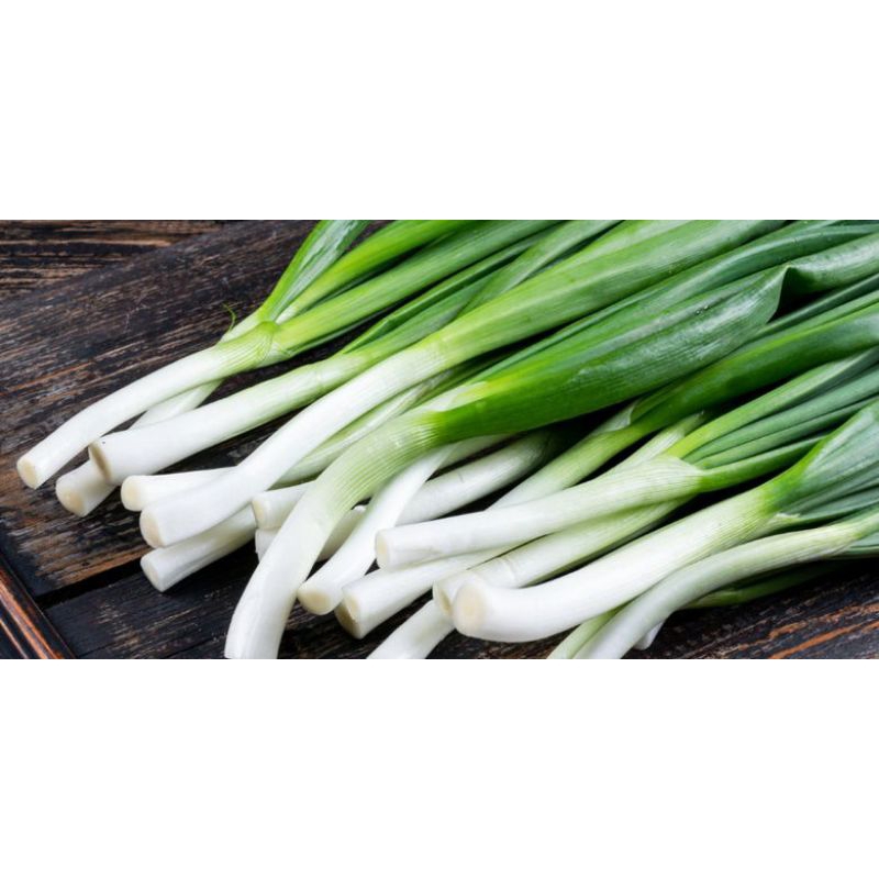 

daun bawang besar 250grm