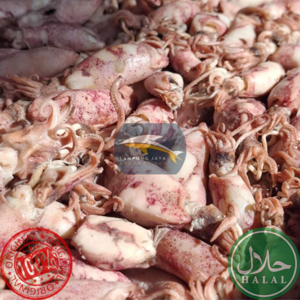 

{BISA COD} 500 GRAM SOTONG JUMBO BERKUALITAS - HARGA GUDANG TERMURAH, DISTRIBUTOR PERTAMA DARI PETANI