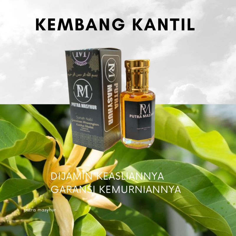 Minyak Kembang Kantil Asli Murni Original By Putra Masyhur