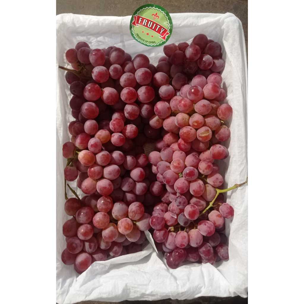 

Anggur Red Globe China (500GR)