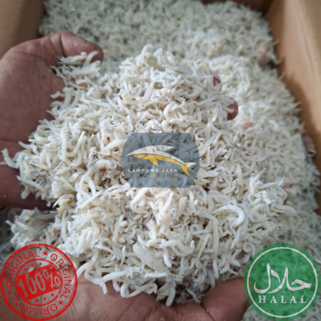 

{BISA COD} 1KG TERI NASI EKSPOR BERKUALITAS - HARGA GUDANG TERMURAH, DISTRIBUTOR PERTAMA DARI PETANI