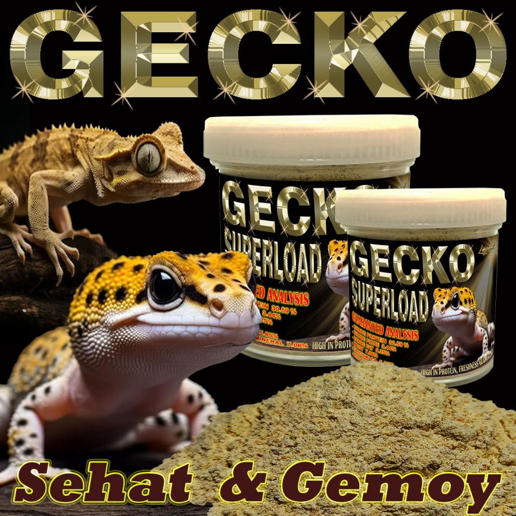 15GR GECKO SUPERLOAD GUTLOAD ESSENTIAL PAKAN SUPLEMENT FOOD LEOPARD GECKO WHEELERI GEKKO CRESTED GEC