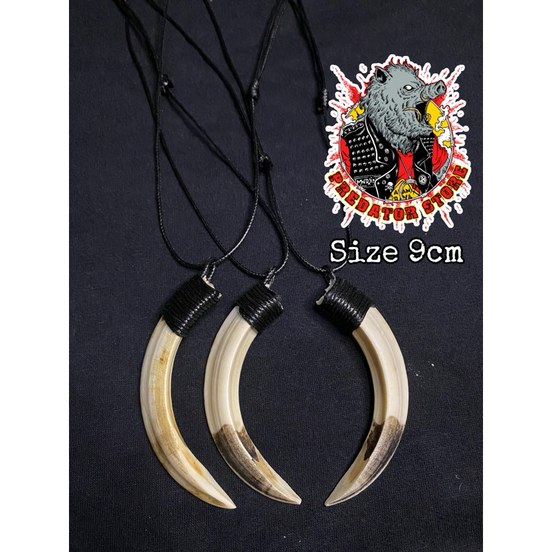 kalung etnik Taring babi hutan size 9cm