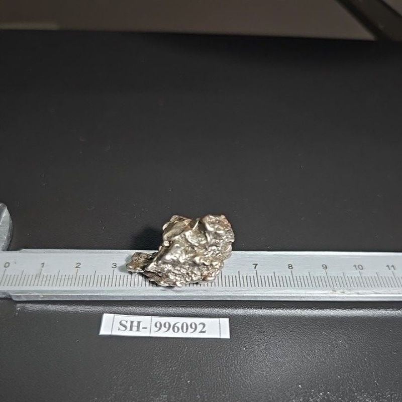 Campo del Cielo Iron Meteorite Asli Gran Chaco Gulamba Argentina