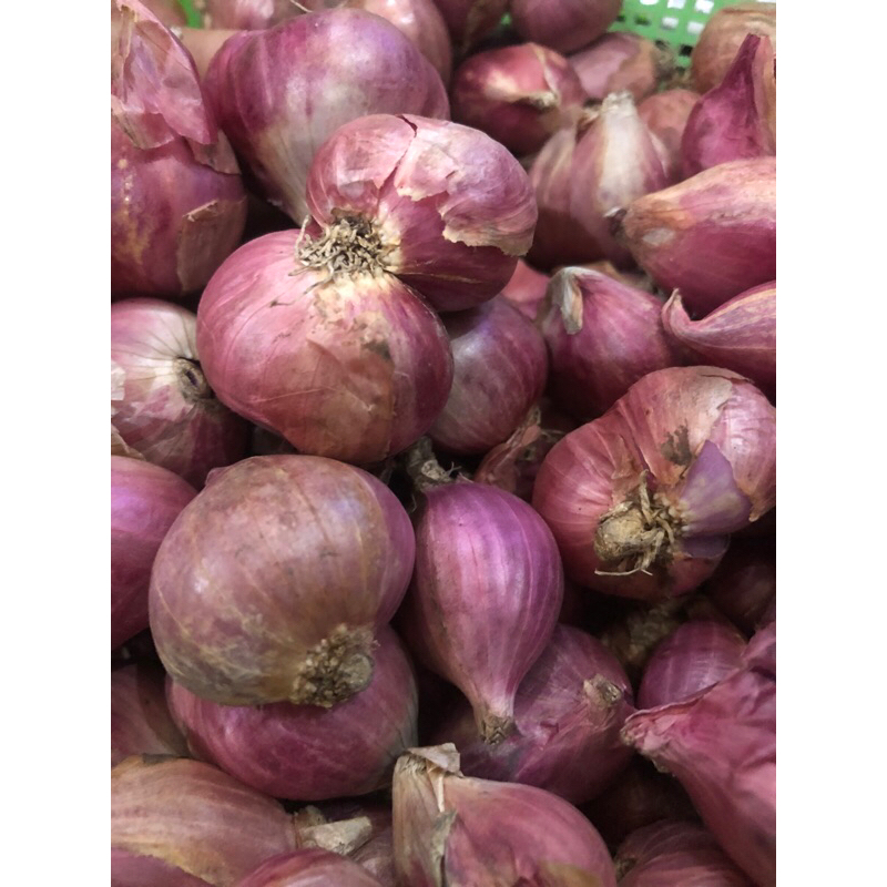 

Bawang Merah 1 Kg