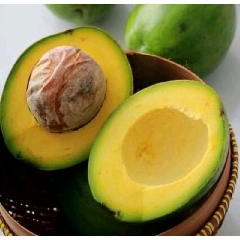

BUAH ALPOKAT MENTEGA MATANG 1 kilo