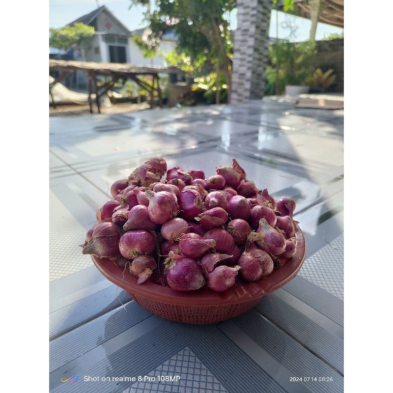 

BAWANG MERAH NGANJUK UKURAN BESAR SEDANG. BERKUALITAS