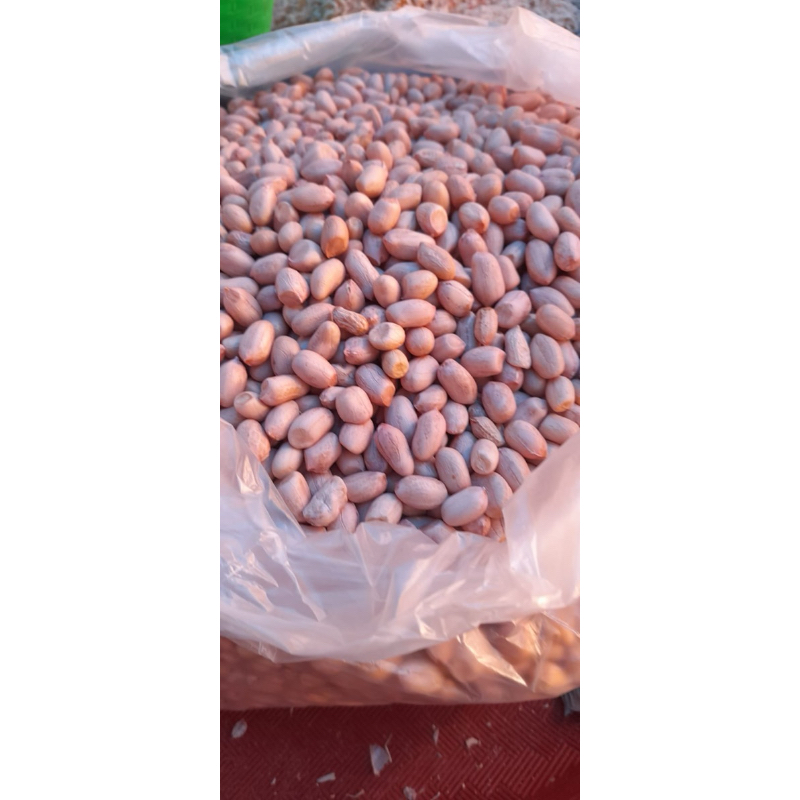 

Kacang Balige 250gr