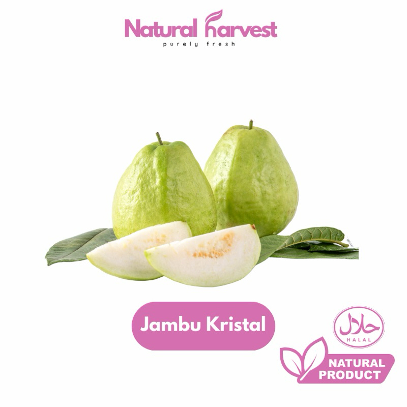 

Buah Jambu kristal Super 1 Kg | NaturalHarvest!