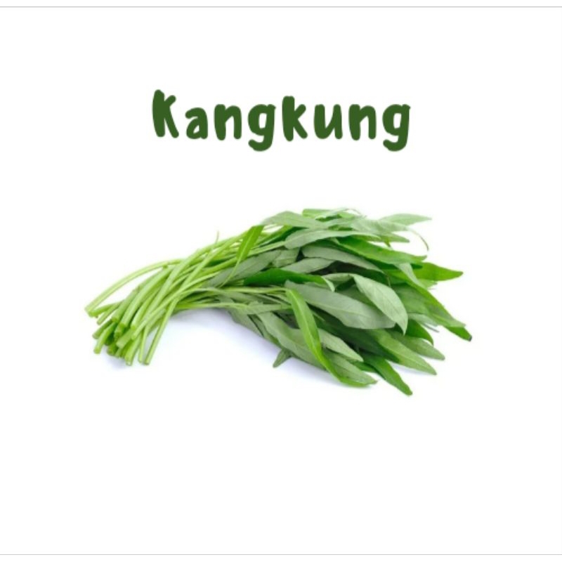 

kangkung 500g