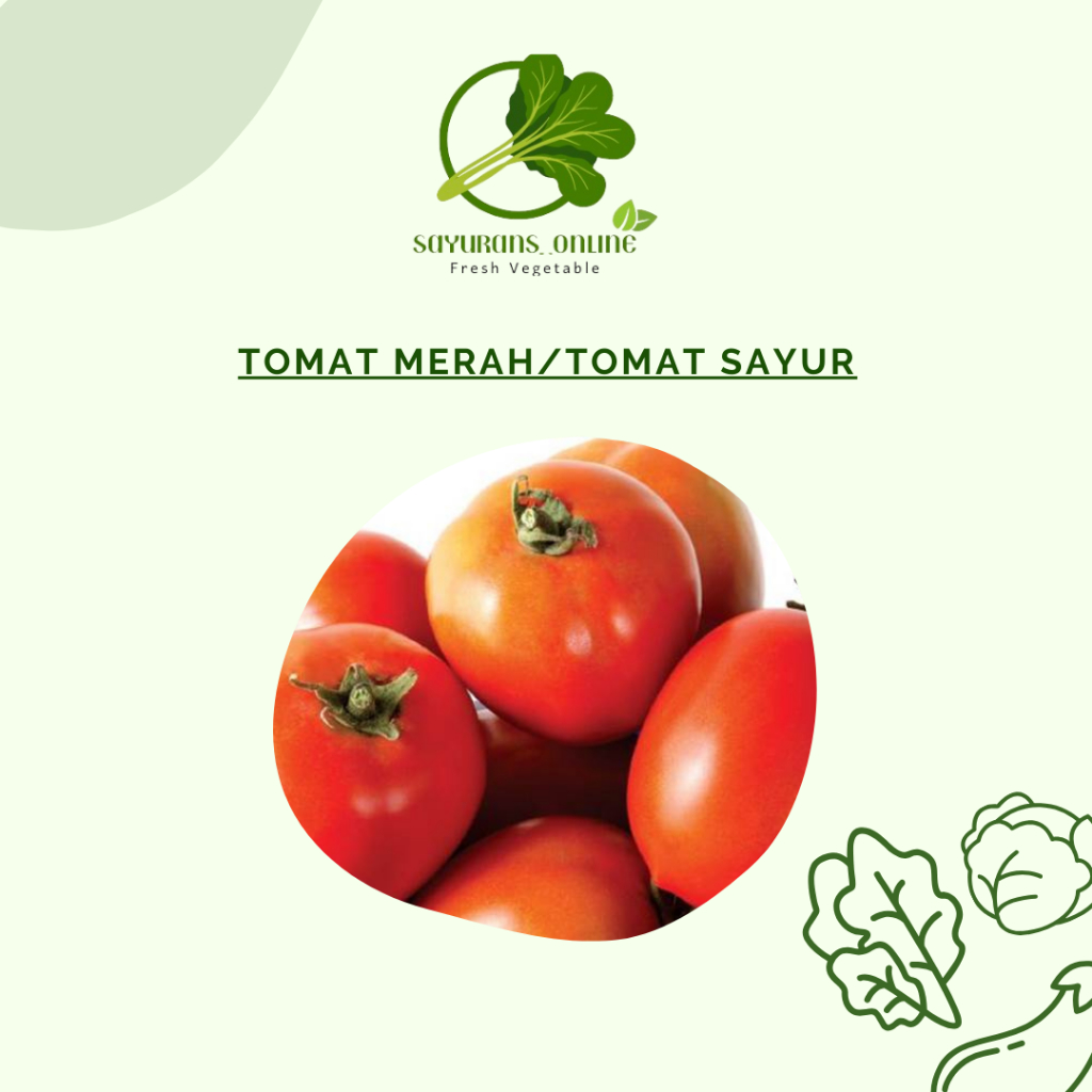 

tomat sayur / tomat fresh