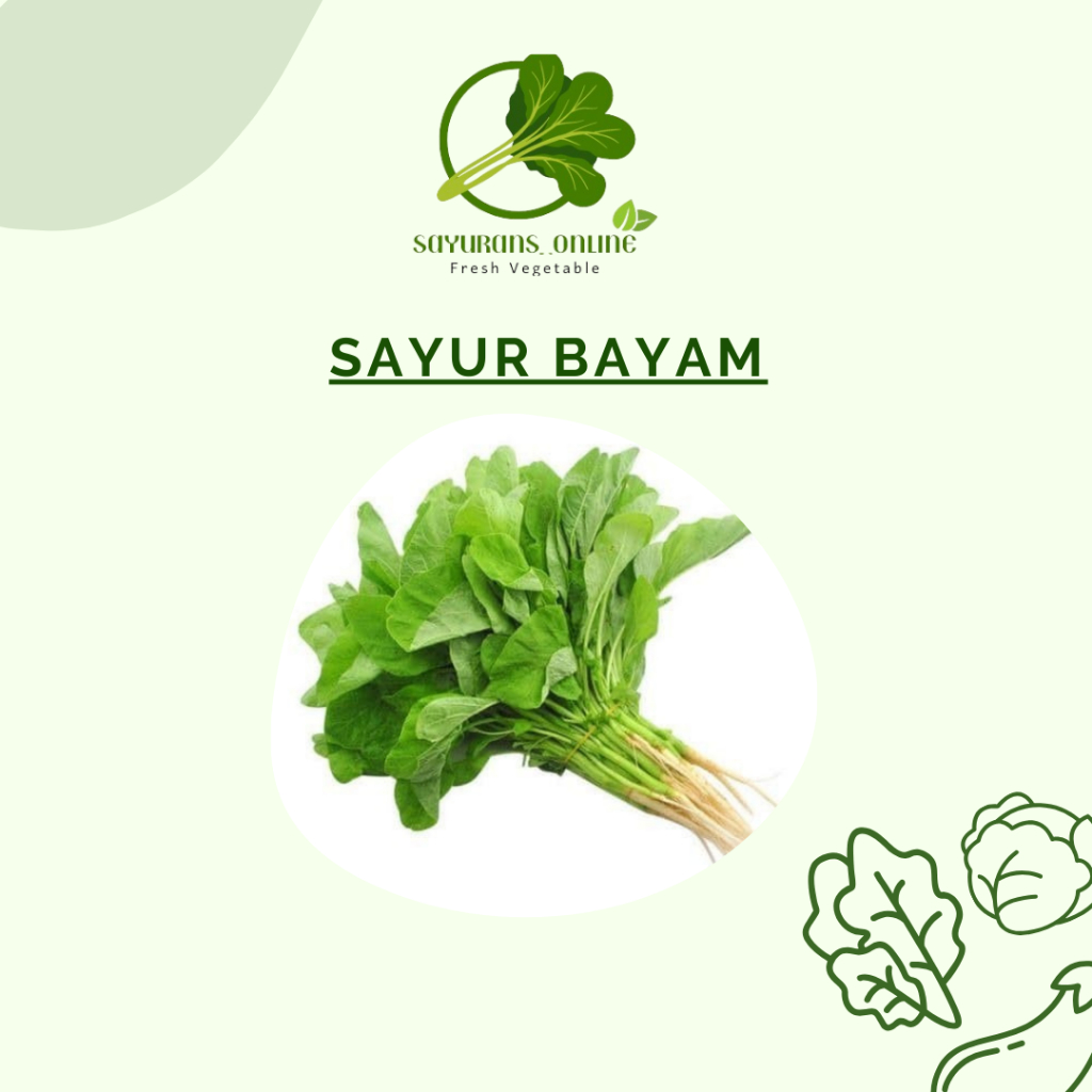 

bayam 1ikat