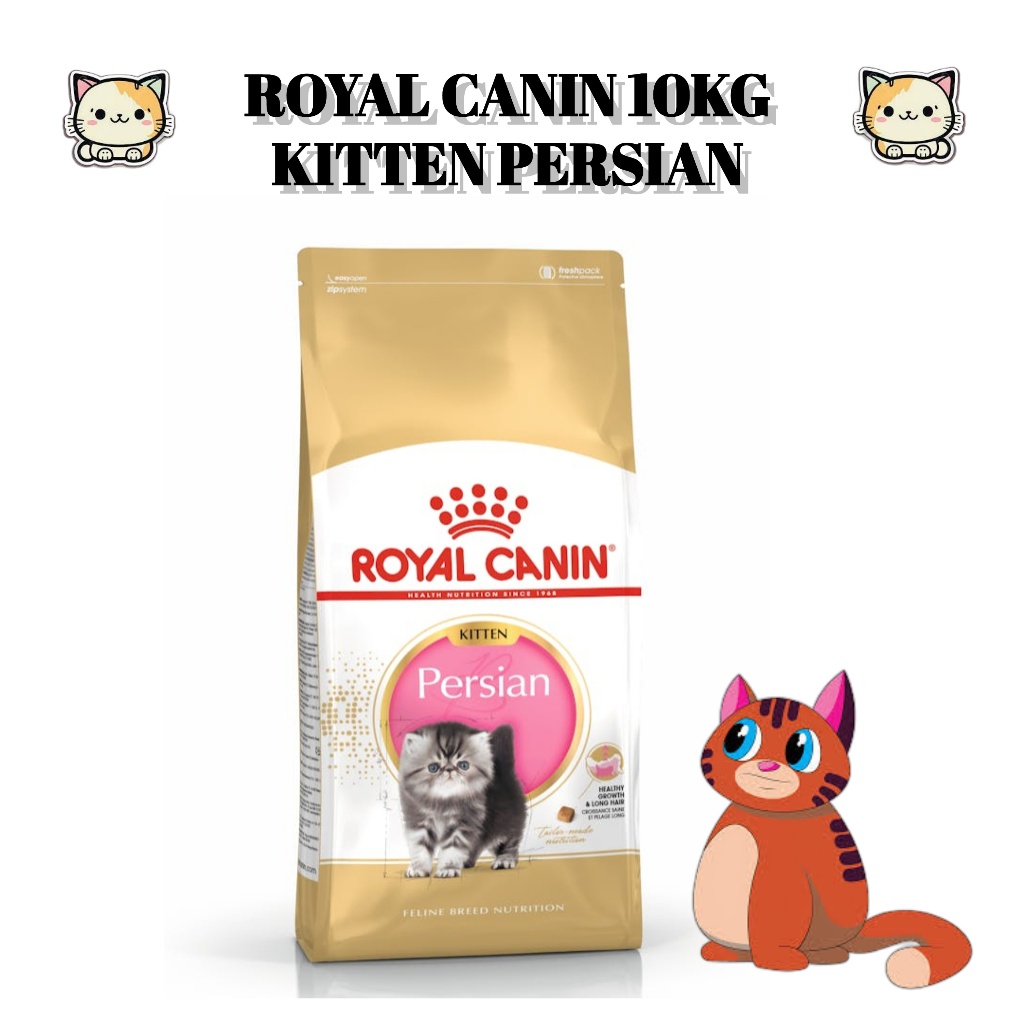 Royal Canin Kitten Persian 10kg 10 kg Makanan Anak Kucing Persia Food